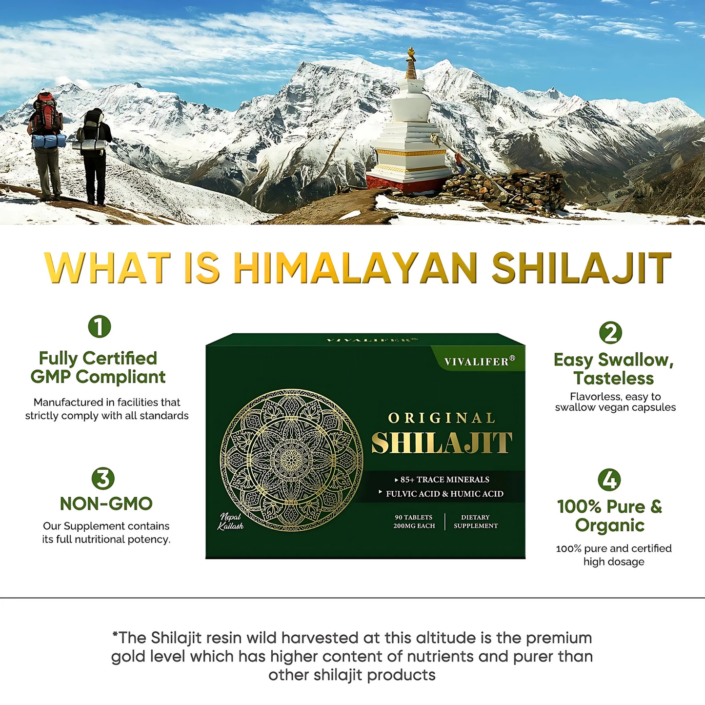 Himalayan Shilajit Resin Supplements
